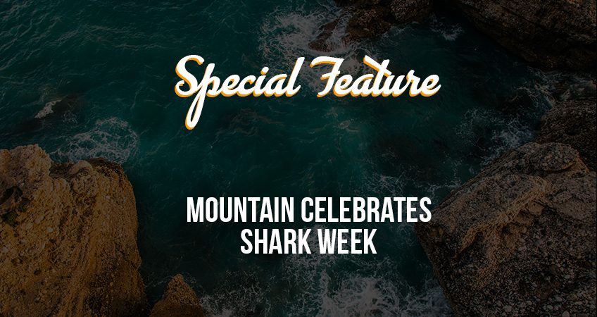 Special Feature - Shark Week